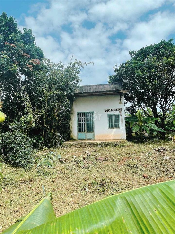 Đất Thôn 12