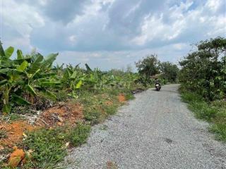 Đất Thôn 12