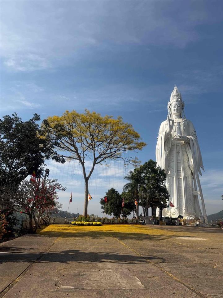 cần bán lô đất ven Đà Lạt,khí hậu mát mẻ quanh năm