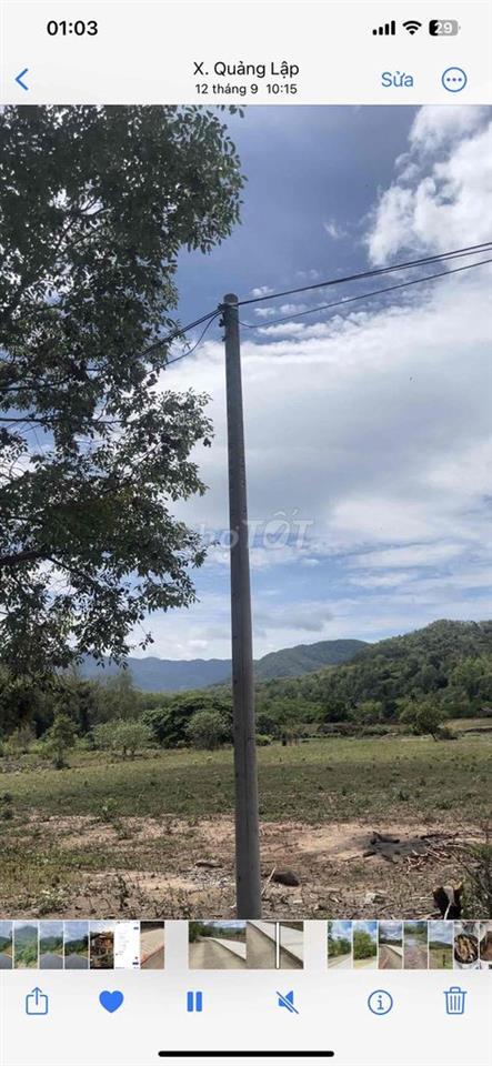 TL Đất vườn hơn 1000m2 bao sang tên