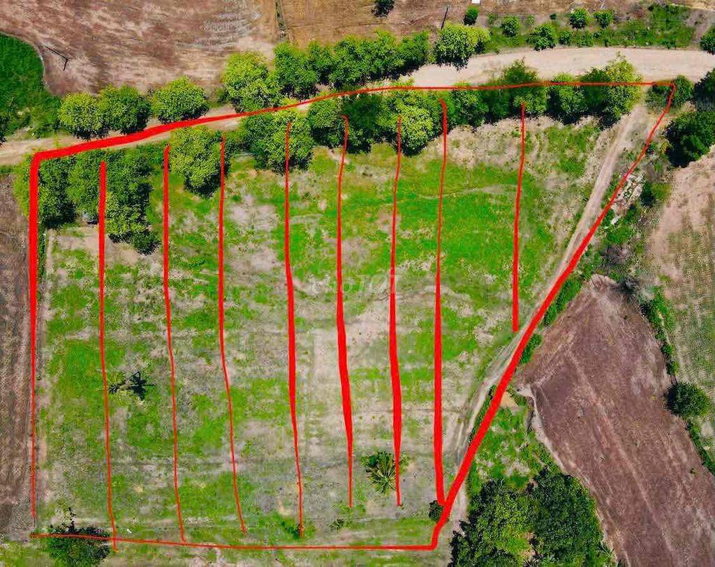 TL Đất vườn hơn 1000m2 bao sang tên