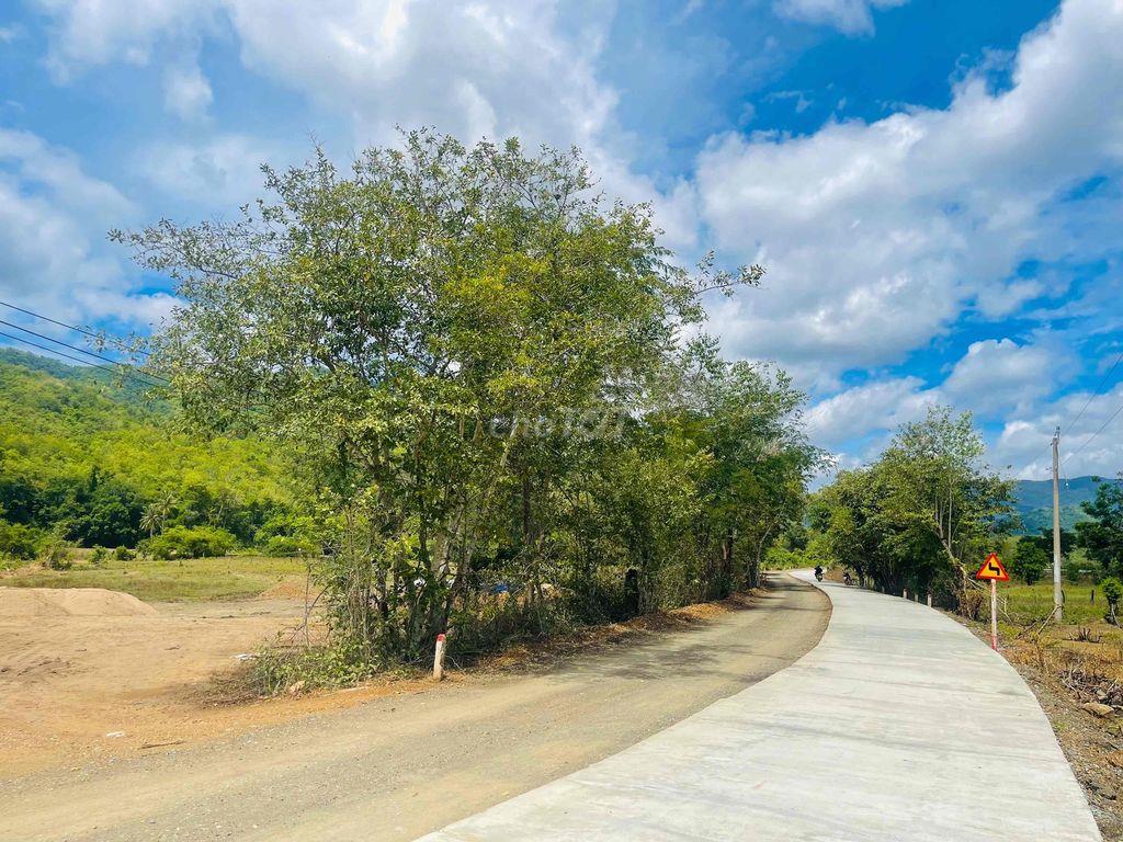 TL Đất vườn hơn 1000m2 bao sang tên