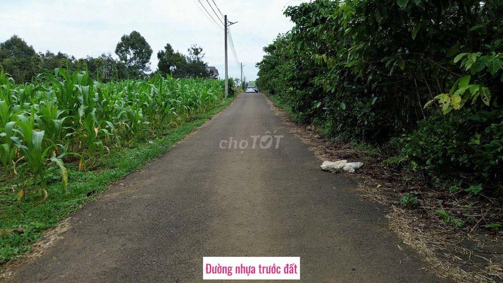 Chính chủ cần bán đất tại Lộc Ngãi, cách mỏ boxit Tân Rai khoảng 6km