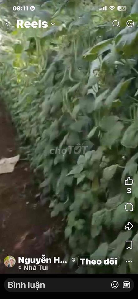 CHÍNH CHỦ CẦN BÁN LÔ ĐẤT ĐẸP TẠI TÂN HỘI - ĐỨC TRỌNG - LÂM ĐỒNG