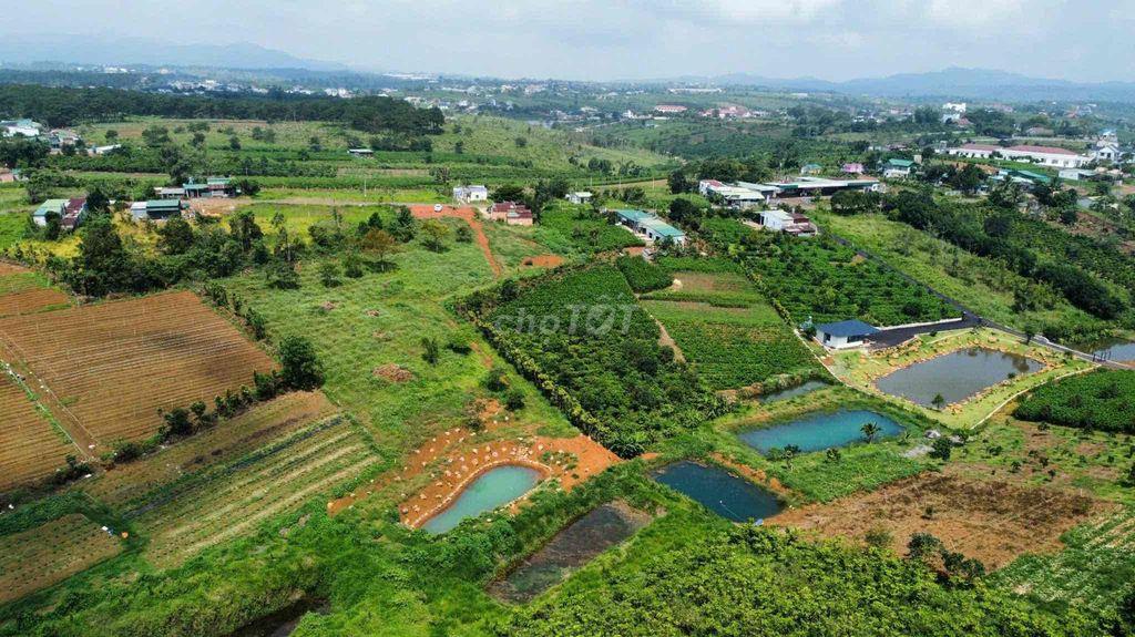 Lô đất đẹp ngay điểm kết nối cao tốc Bảo Lộc - Tân Phú