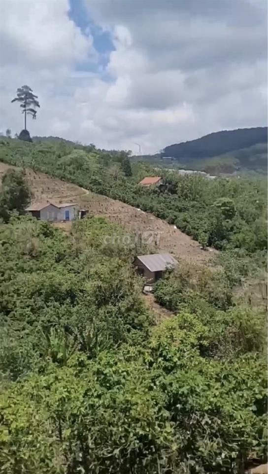 Bán Đất Đà Lạt - Cầu Đất