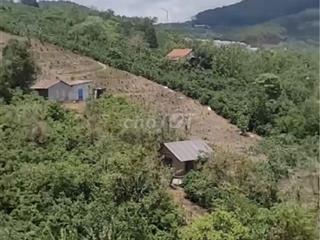 Bán Đất Đà Lạt - Cầu Đất