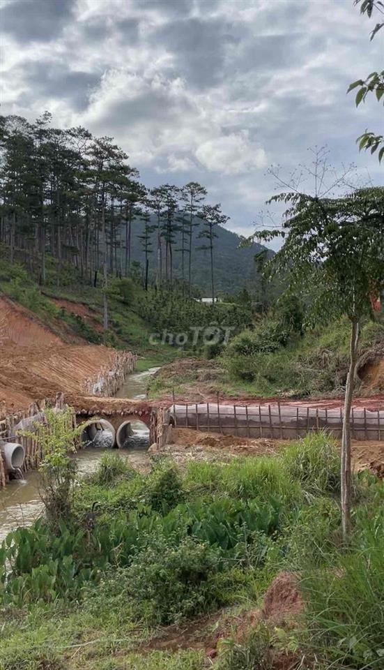BÁN ĐẤT GẦN ZOODOO ĐÀ LẠT