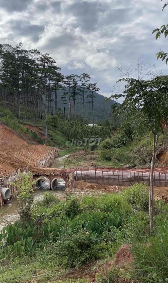 Đất đẹp - Giá rẻ thành Lạc Dương (Đạ Nhim cũ)