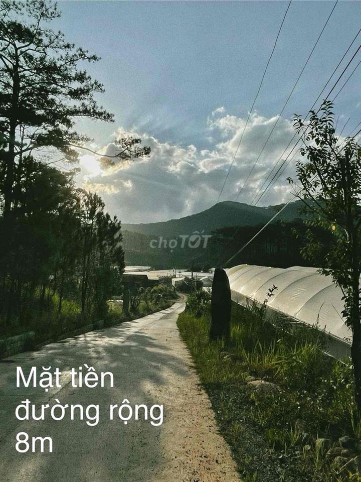 Đất đẹp - Giá rẻ thành Lạc Dương (Đạ Nhim cũ)