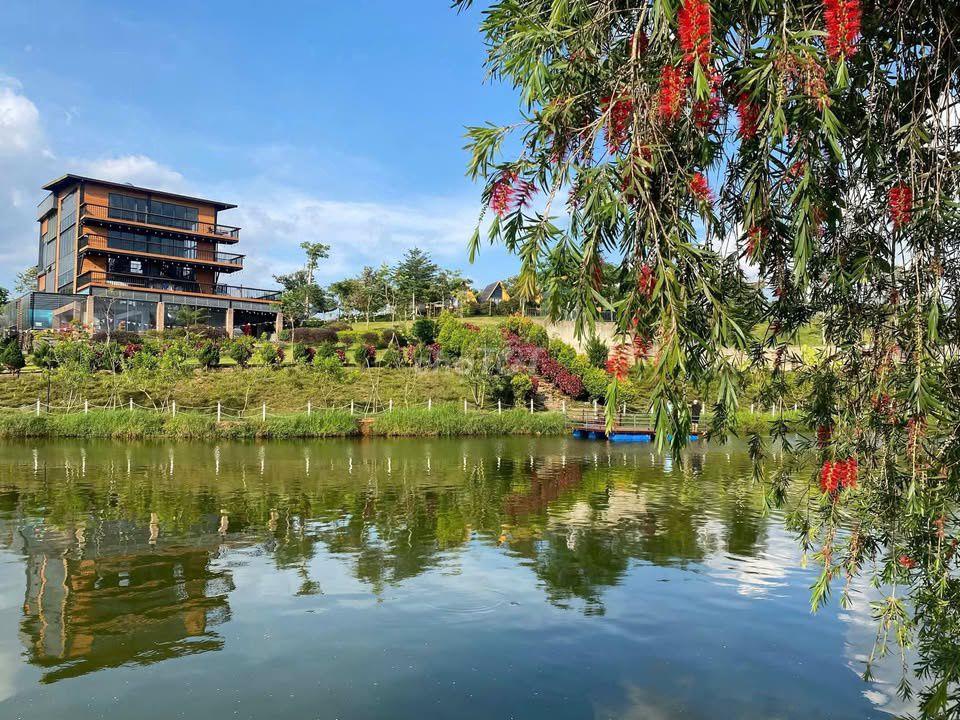 CHÍNH CHỦ BÁN ĐẤT THỔ CƯ 5*30M P2, BẢO LỘC NGAY TÂM CHÂU FARM