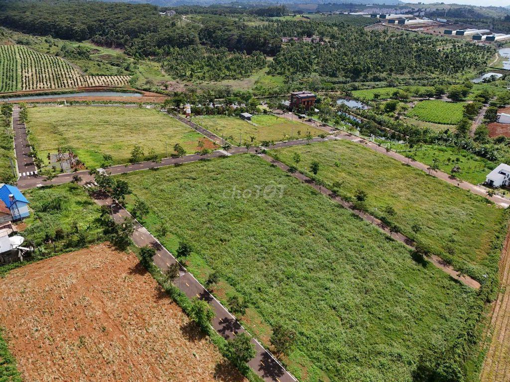 Kẹt tiền bán gấp Lô Đất khu Làng Omm, phường 2 Bảo Lộc
