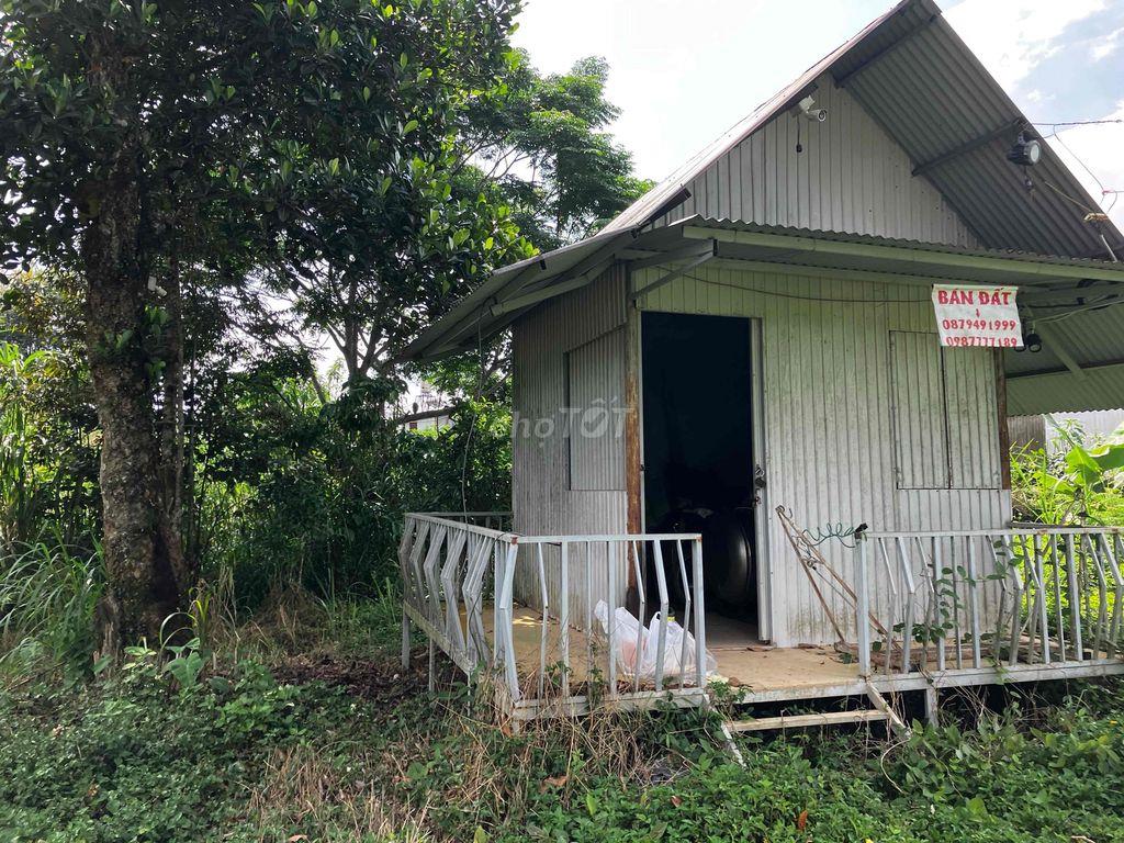 Đất có thổ cư, có suối