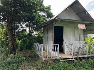 Đất có thổ cư, có suối
