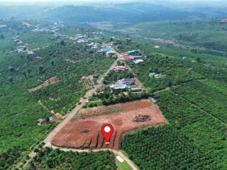 Thổ Cư  5X34m Giá 439tr cách nhựa20m, Đường Liên Xã Tân Nghĩa.