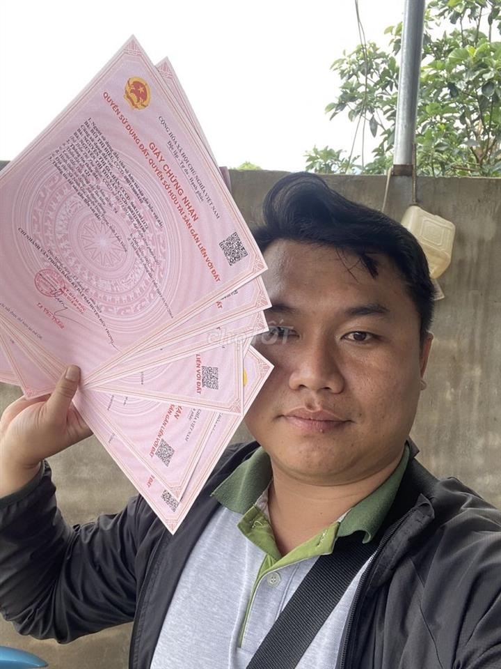ĐÂT TRỒNG CÂY LÂU NĂM