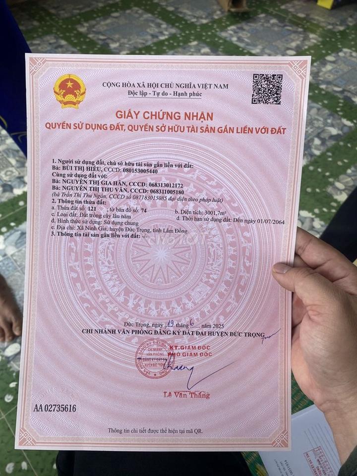 ĐÂT TRỒNG CÂY LÂU NĂM