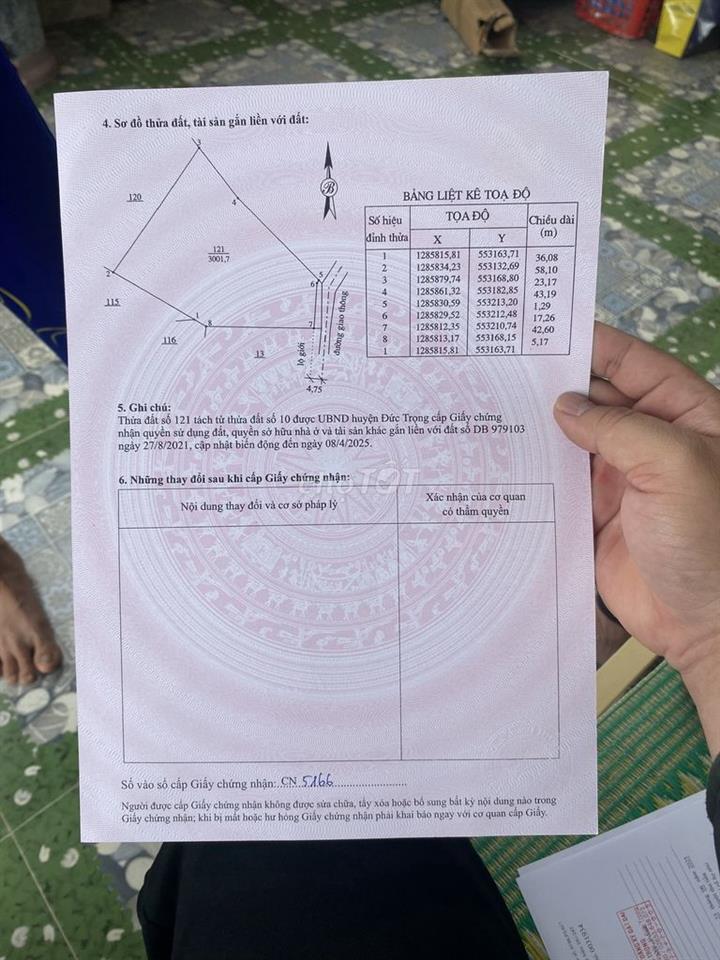 ĐÂT TRỒNG CÂY LÂU NĂM