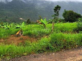 ĐẤT CẦN BÁN