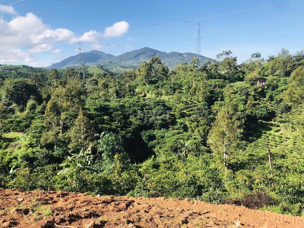 BÁN LÔ ĐẤT VIEW ĐỒI, VIEW SUỐI - FULL THỔ CƯ, NGANG 8M, CÁCH QL55 400m