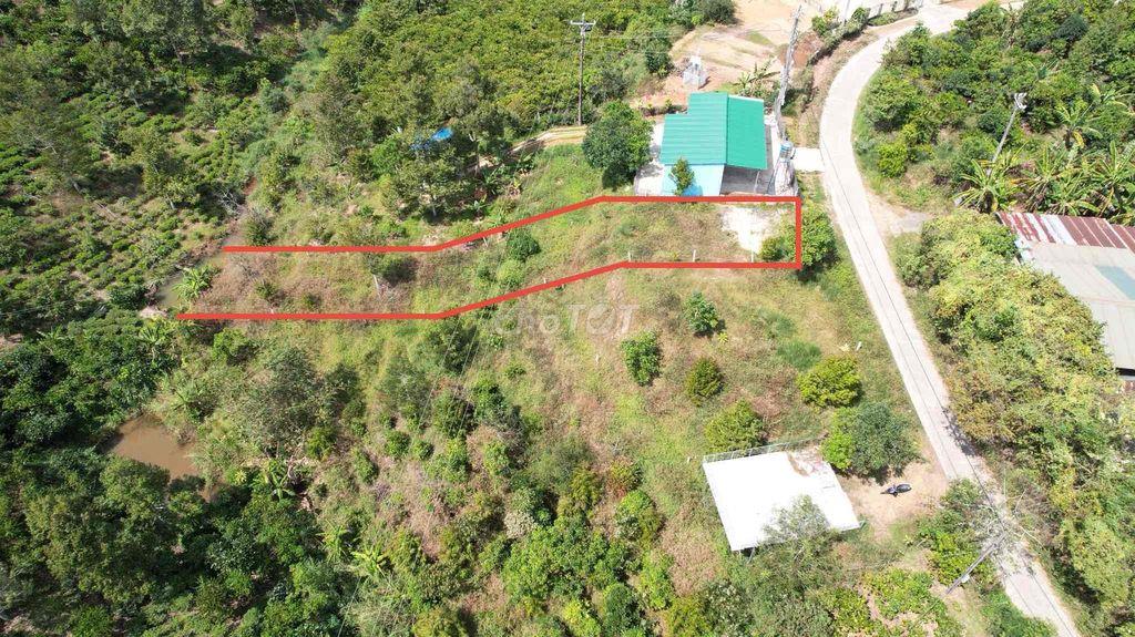 BÁN LÔ ĐẤT VIEW ĐỒI, VIEW SUỐI - FULL THỔ CƯ, NGANG 8M, CÁCH QL55 400m