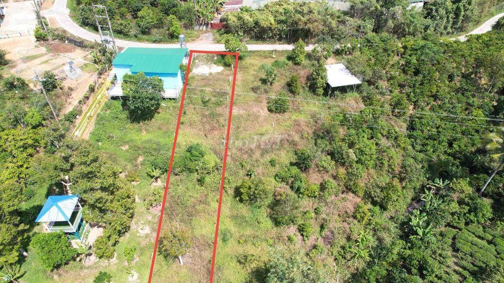 BÁN LÔ ĐẤT VIEW ĐỒI, VIEW SUỐI - FULL THỔ CƯ, NGANG 8M, CÁCH QL55 400m