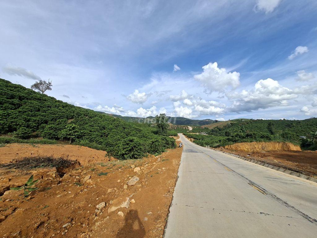 Bán đất rẫy cà phê thu mạnh