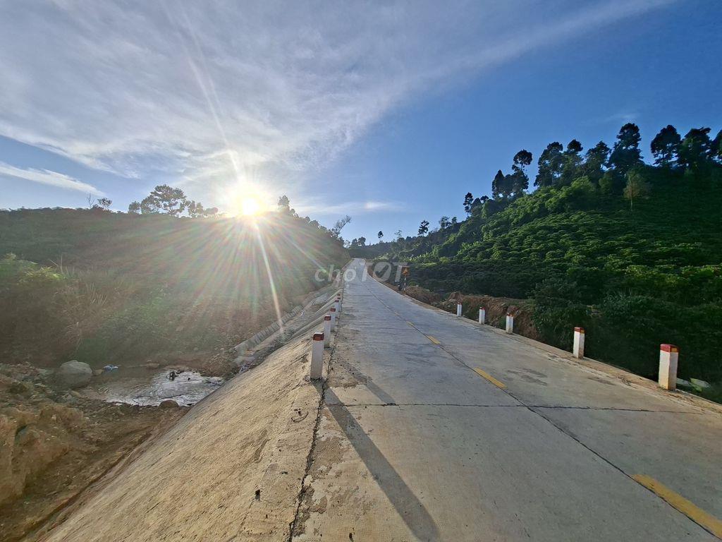 Bán đất rẫy cà phê thu mạnh