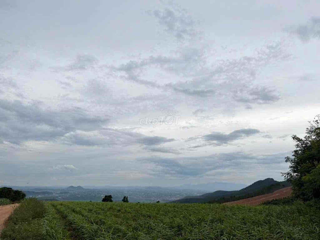 5 lô thôn Ganthi Nam Ban