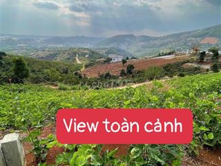 🔥 ĐẤT VIEW PHẬT BÀ MÊ LINH – GIÁ DƯỚI 1 TỶ 🔥  Diện tích 300m² (126m² t