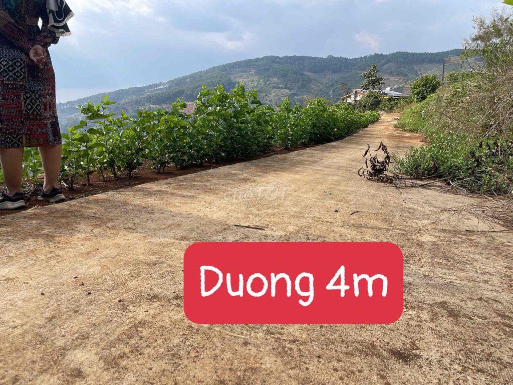 🔥 ĐẤT VIEW PHẬT BÀ MÊ LINH – GIÁ DƯỚI 1 TỶ 🔥  Diện tích 300m² (126m² t