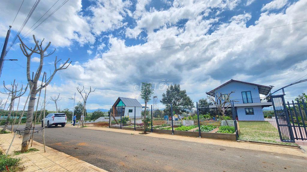 Chính chủ ngộp lãi ngân hàng bán gấp đất Hòa Ninh Lâm Đồng giá rẻ