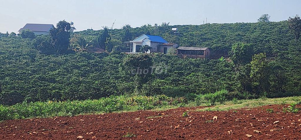 Chính chủ cần bán đất vườn đẹp 