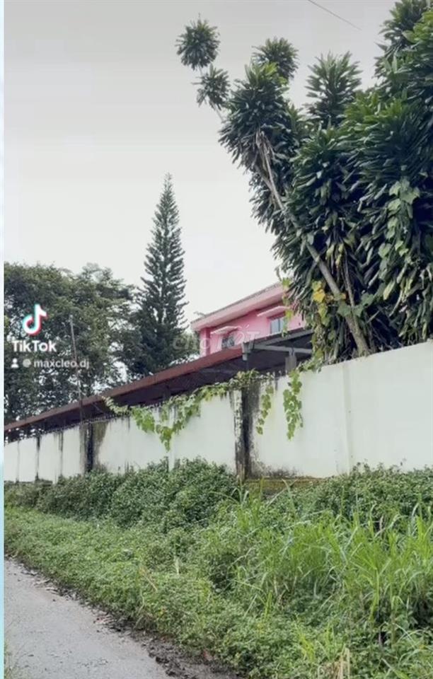 🔥 BÁN ĐẤT LỘC AN – BẢO LÂM | SÁT NGAY TRƯỜNG TIỂU HỌC & THCS TÂY SƠN