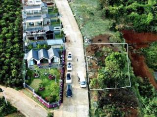 bán đất biệt lập xây biệt thự cách chợ đêm ĐL chỉ 20km giá chỉ 1tyxxx