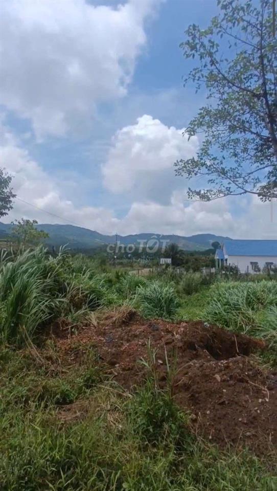 Đất đẹp, siêu rẻ, chỉ 1,7 tỷ bán 2000m², 100m² t.cư. Đất P.03 Bảo Lộc.