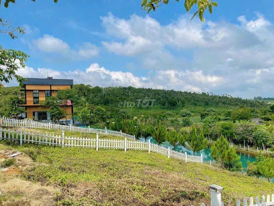 🌿BÁN ĐẤT NGHỈ DƯỠNG VIEW HỒ BẢO LỘC