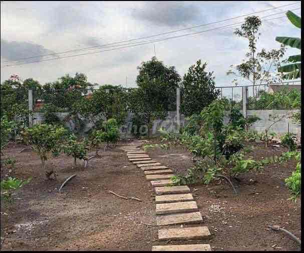 Đất Giá Rẻ