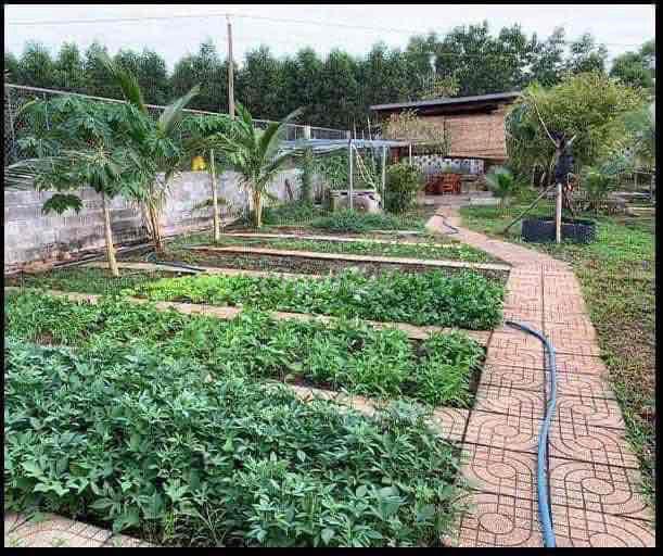 Đất Giá Rẻ