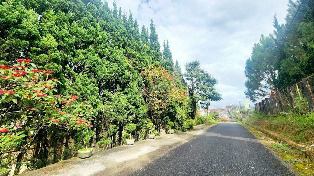 CƠ HỘI X2 TÀI SẢN 3400M² TÂN HÀ CHỦ HỖ TRỢ LÊN 1000M² THỔ CƯ 💎