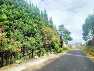 CƠ HỘI X2 TÀI SẢN 3400M² TÂN HÀ CHỦ HỖ TRỢ LÊN 1000M² THỔ CƯ 💎