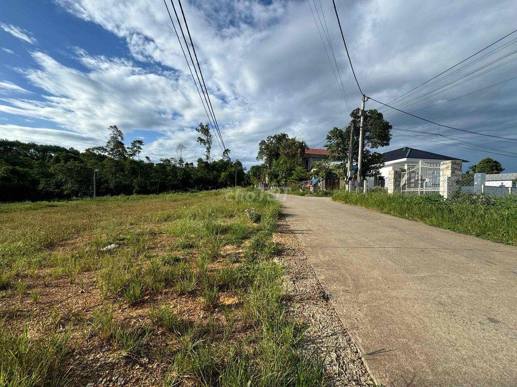 🏡 ĐẤT KIỆT OTO 6,5M ĐẠI NAM – GẦN ĐỒI NGỌC LINH 🎉🎉🎉