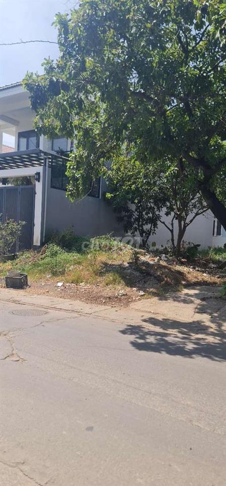 Đất Mặt Tiền Đường Nguyễn Lộ Trạch, Ngang 7,3m