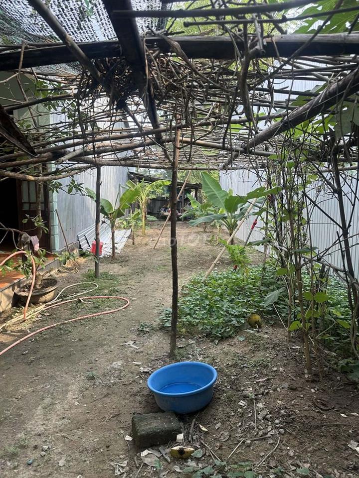 BÁN ĐẤT KIỆT 109 MINH MẠNG 535M2 (CHÍNH CHỦ)