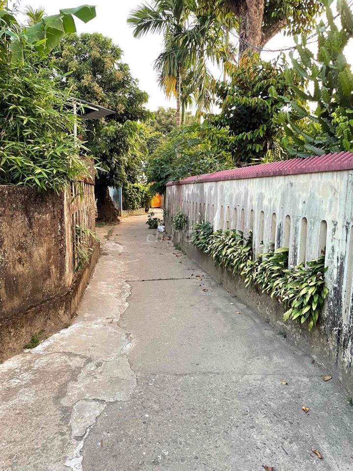 Đất kiệt Bạch Đằng 105m2