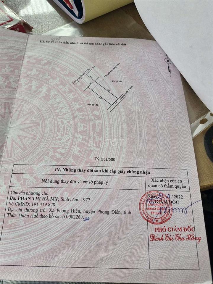 Hương Sơ chính chủ