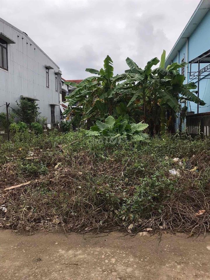 đất 2mặt tiền đường đẹp