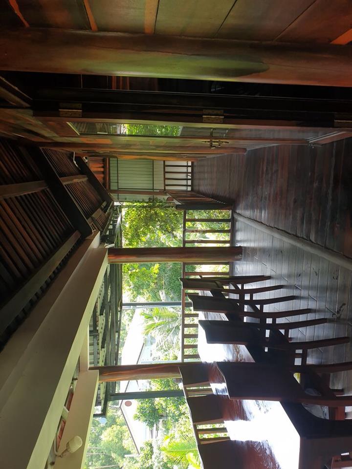 Nhà sàn gỗ 2 tầng trên nền vườn 800m2