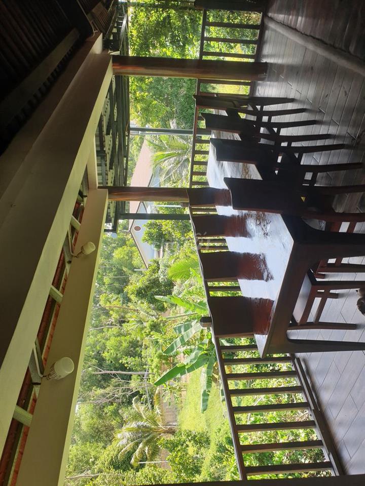 Nhà sàn gỗ 2 tầng trên nền vườn 800m2