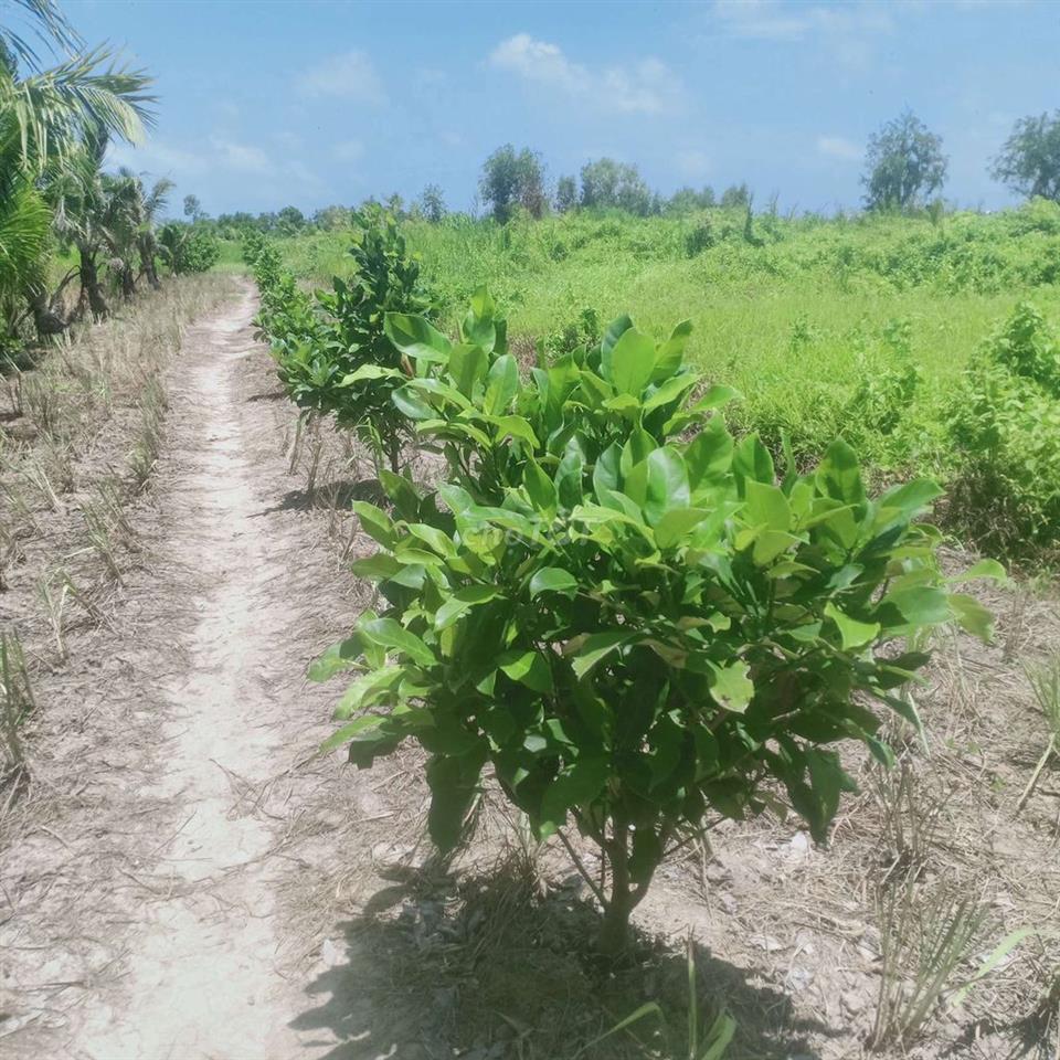 Bán 4543 m vuông đất   Dự án mở rộng TP Rạch Giá 